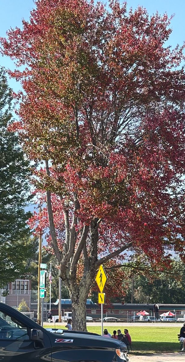 North Conway Scavenger Hunt scavenger hunt photos