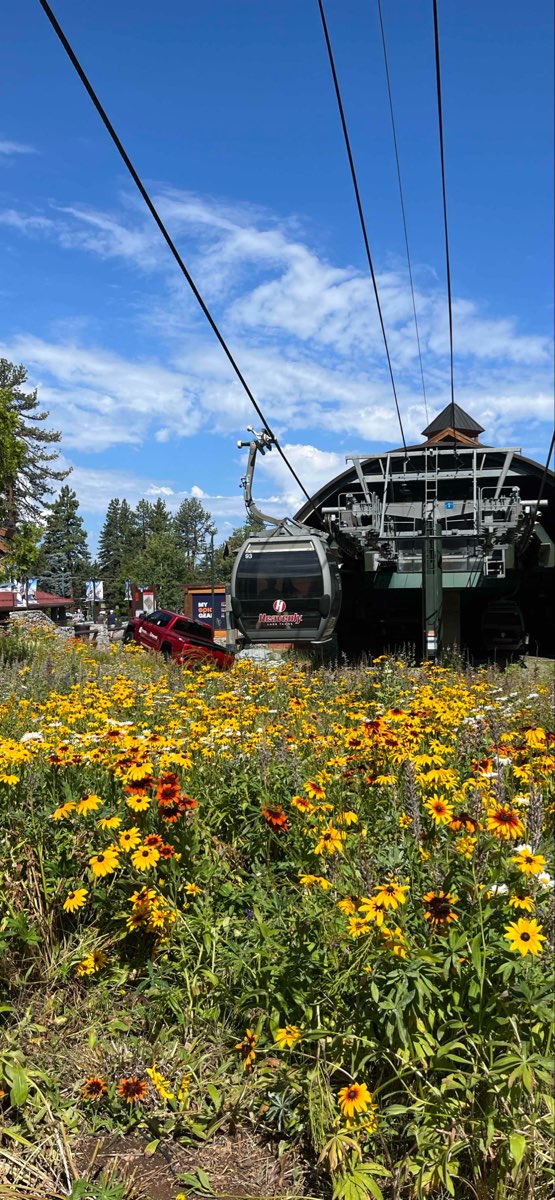 Tourist District Scavenger Hunt scavenger hunt photos