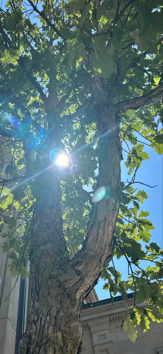 Chillicothe Ohio Scavenger Hunt scavenger hunt photos