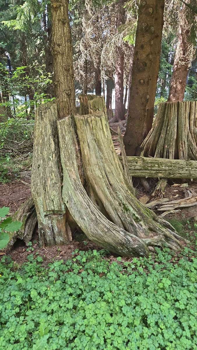 Whistler Audio Tour scavenger hunt photos