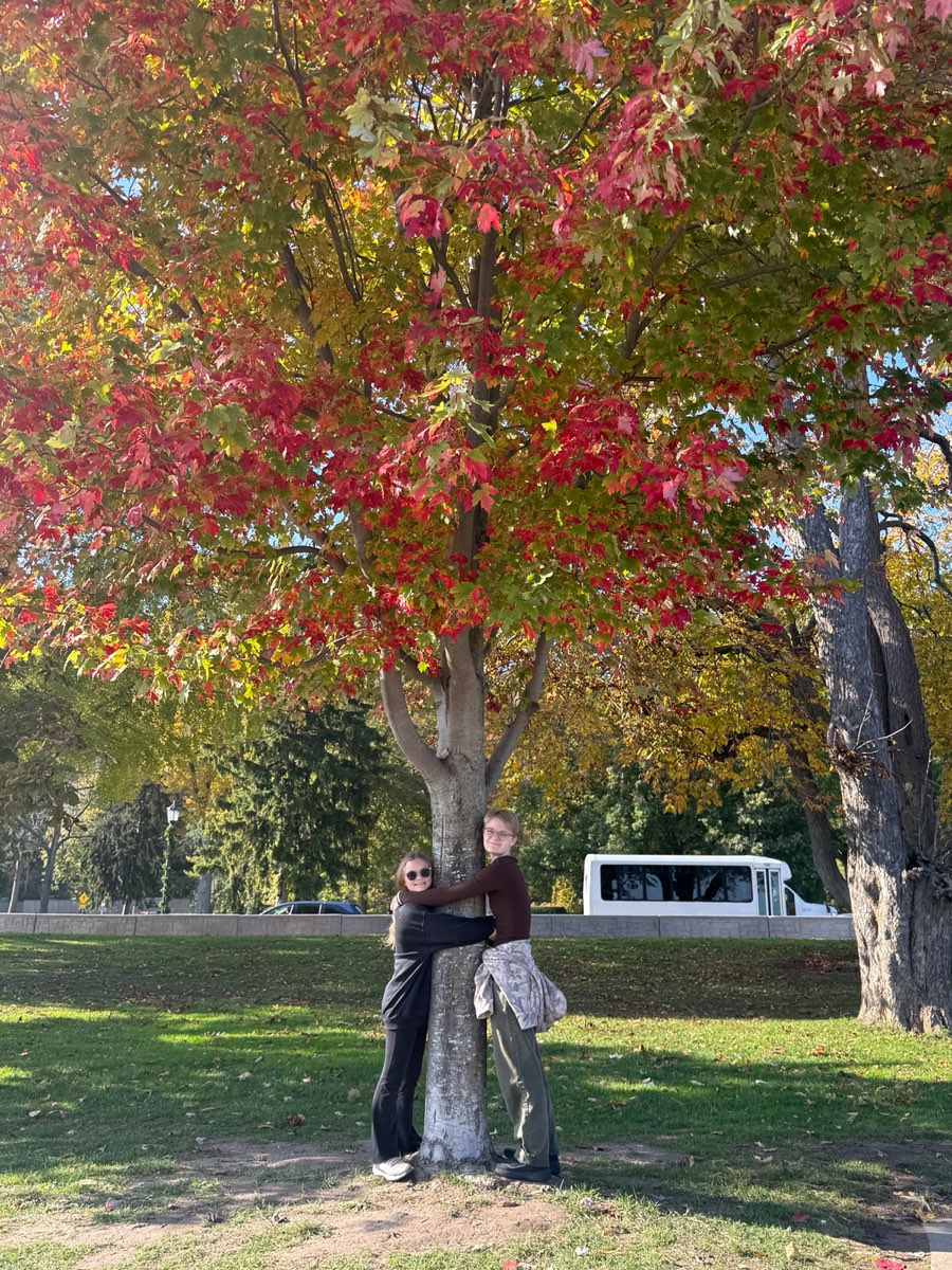 Bilder fra Niagara-on-the-Lake Downtown Skattejakt