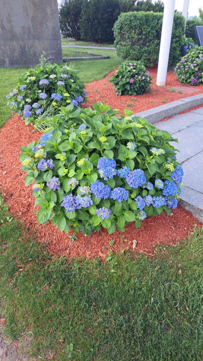 Fall River Scavenger Hunt scavenger hunt photos