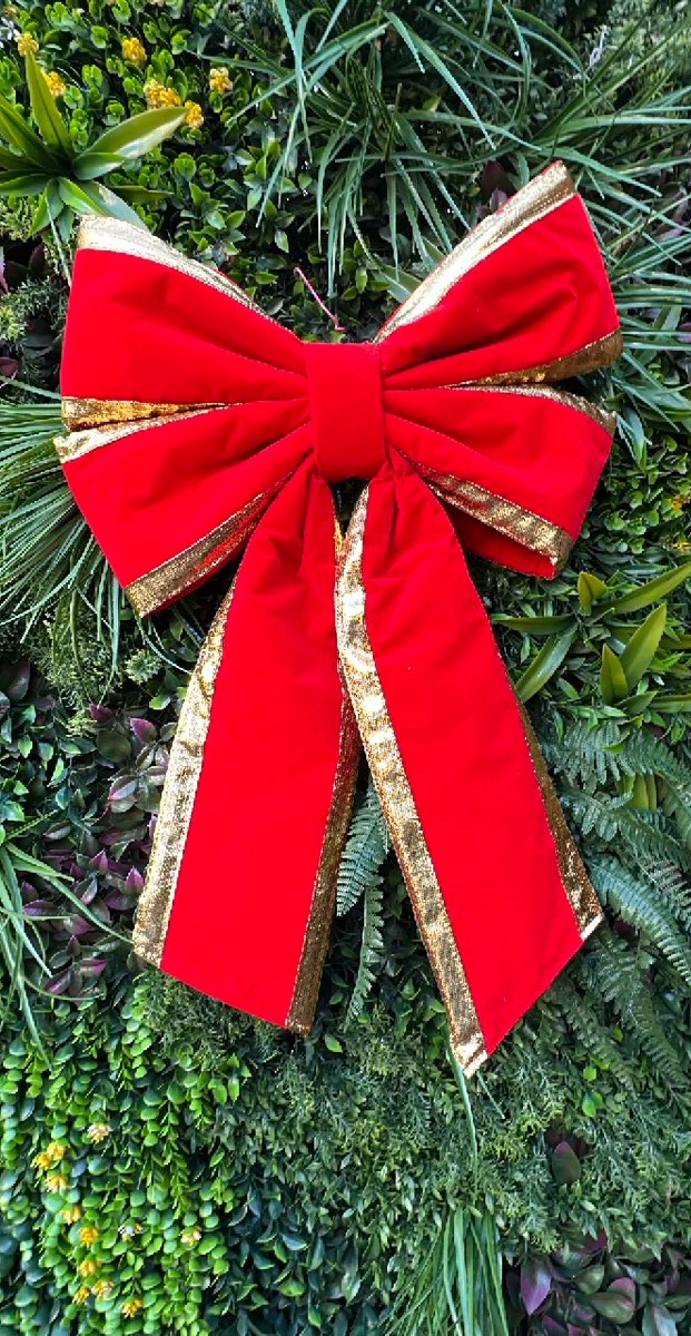 White Plains Scavenger Hunt scavenger hunt photos