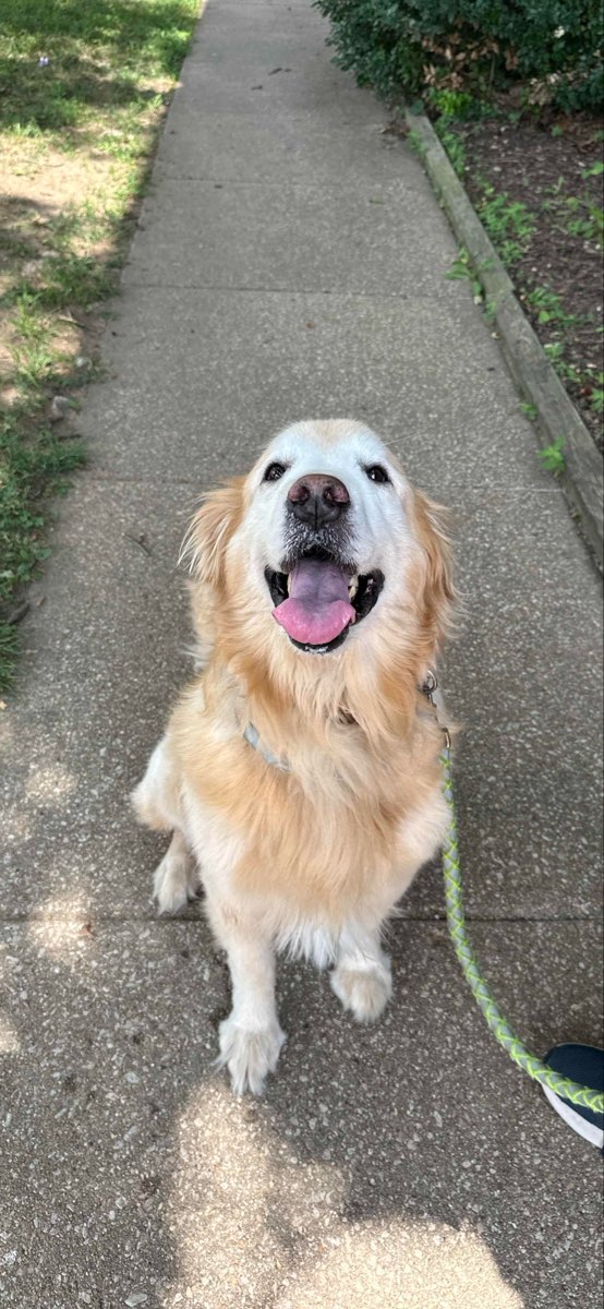 Eudora 寻宝游戏寻宝照片