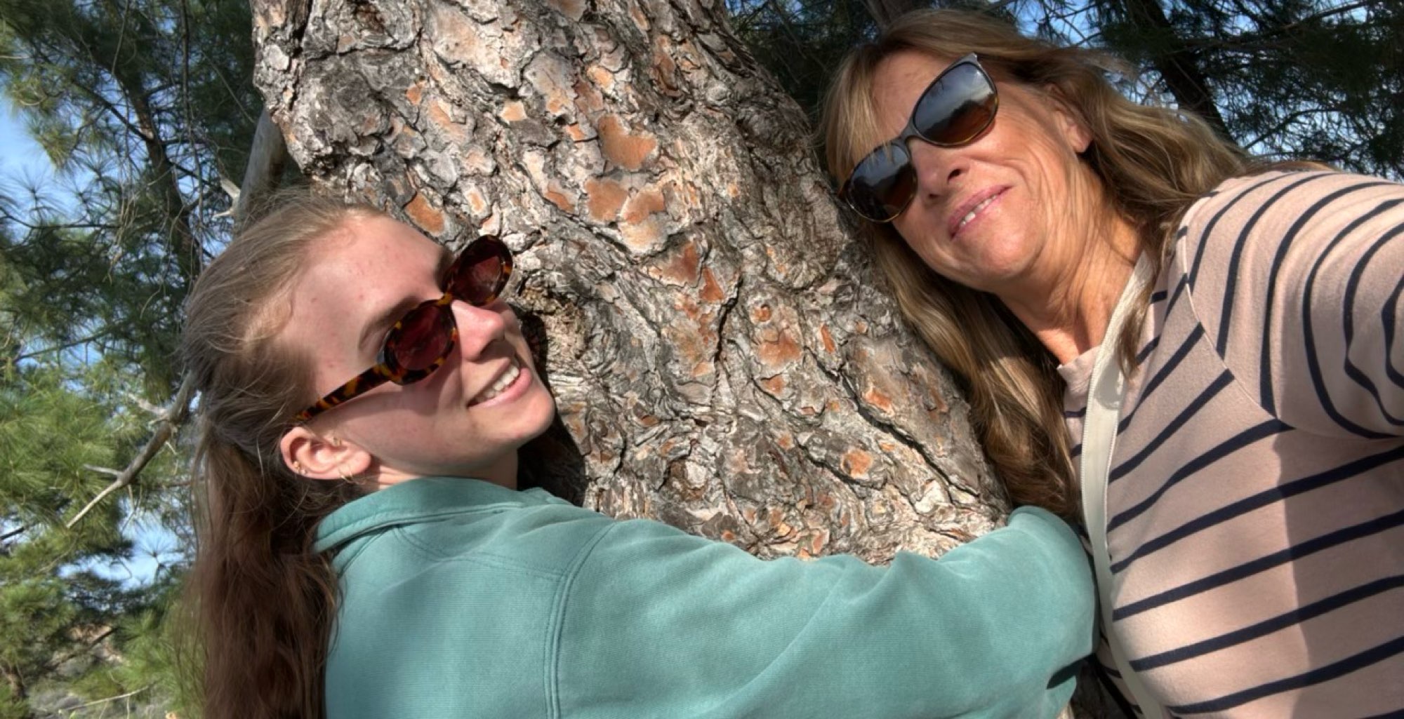 &Fcy;&ocy;&tcy;&ocy;&gcy;&rcy;&acy;&fcy;&icy;&icy; &scy; &kcy;&vcy;&iecy;&scy;&tcy;&acy; &vcy; &Lcy;&ocy;&scy;-&Acy;&ncy;&dcy;&zhcy;&iecy;&lcy;&iecy;&scy;&iecy;&comma; &Kcy;&acy;&lcy;&icy;&fcy;&ocy;&rcy;&ncy;&icy;&yacy;