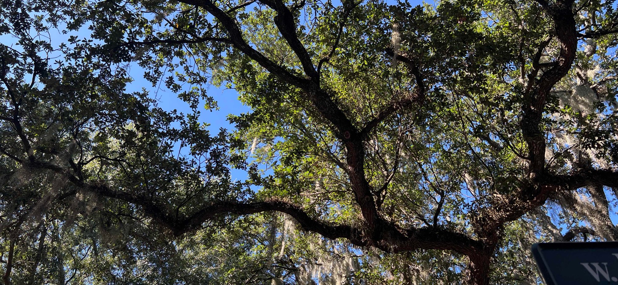 Savannah Georgia Downtown Scavenger Hunt scavenger hunt photos