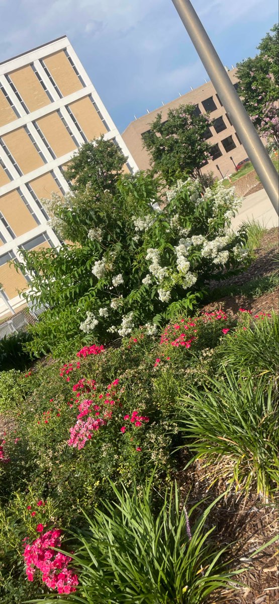 team building scavenger hunt