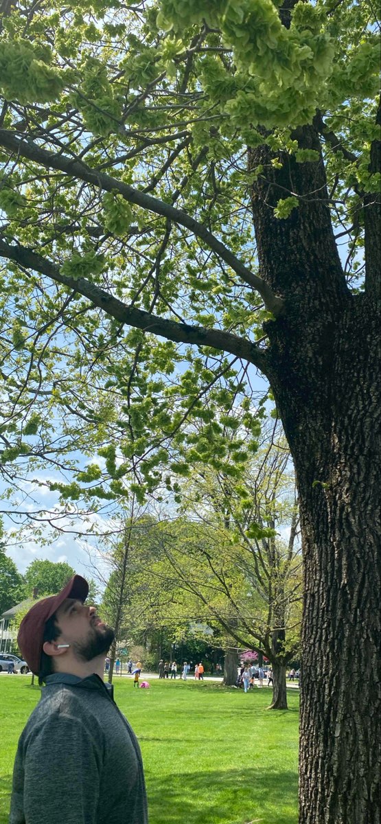 Fotky z dobrodru&zcaron;stv&iacute; v Lexingtonu v Massachusetts