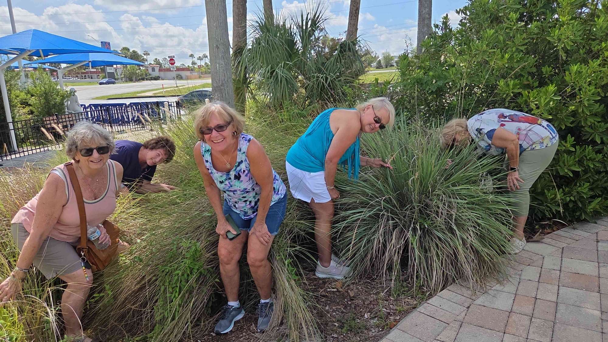 รูปภาพ Spring Hill Scavenger Hunt