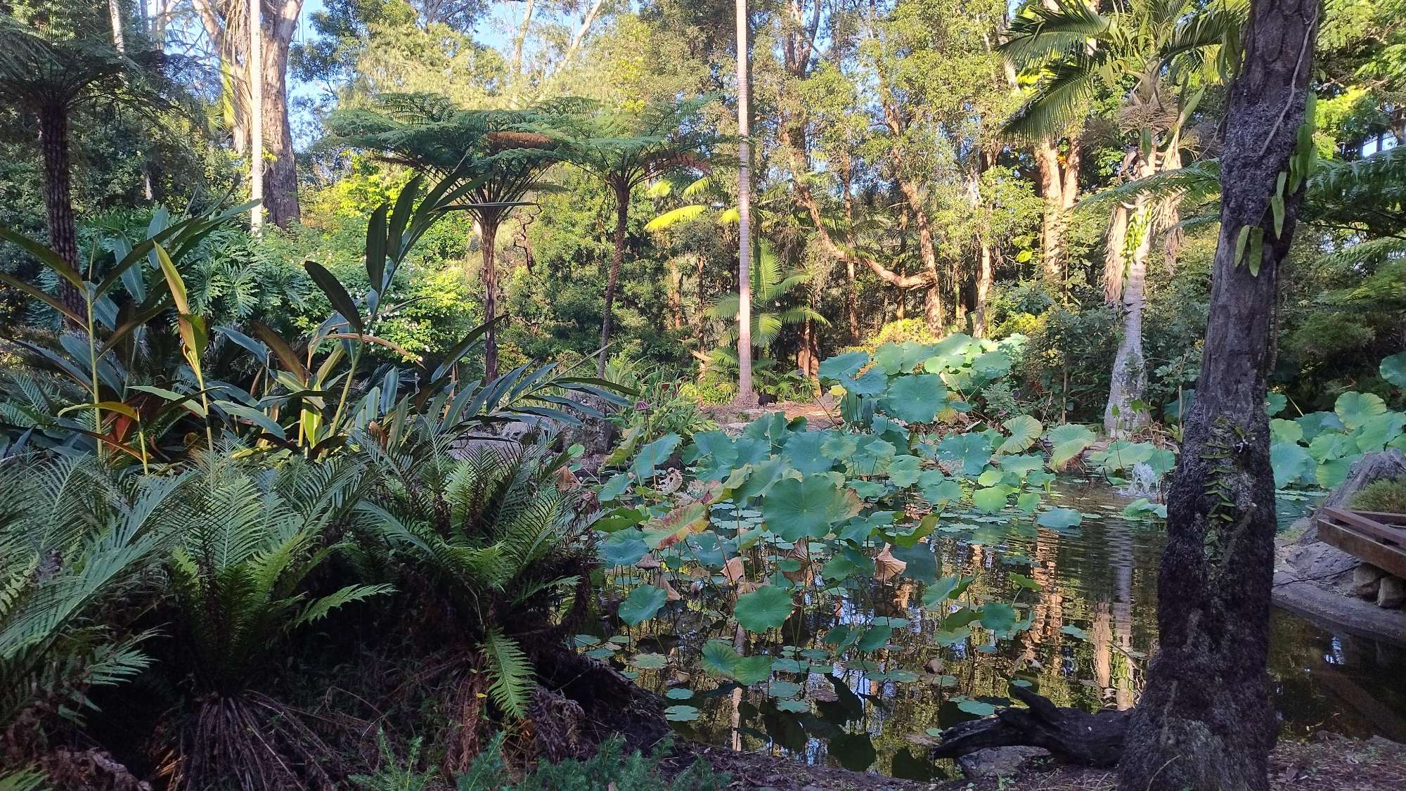 Coffs Harbour Scavenger Hunt hazine avı fotoğrafları