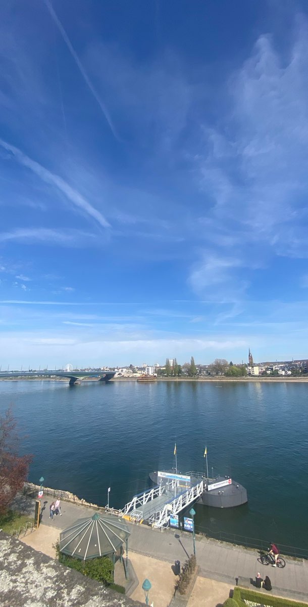 본 스캐빈저 헌트 스캐빈저 헌트 사진