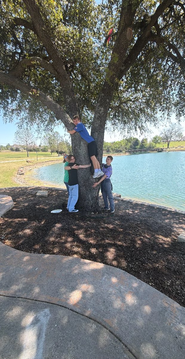 Rockwall Skattejagt skattejagt fotos