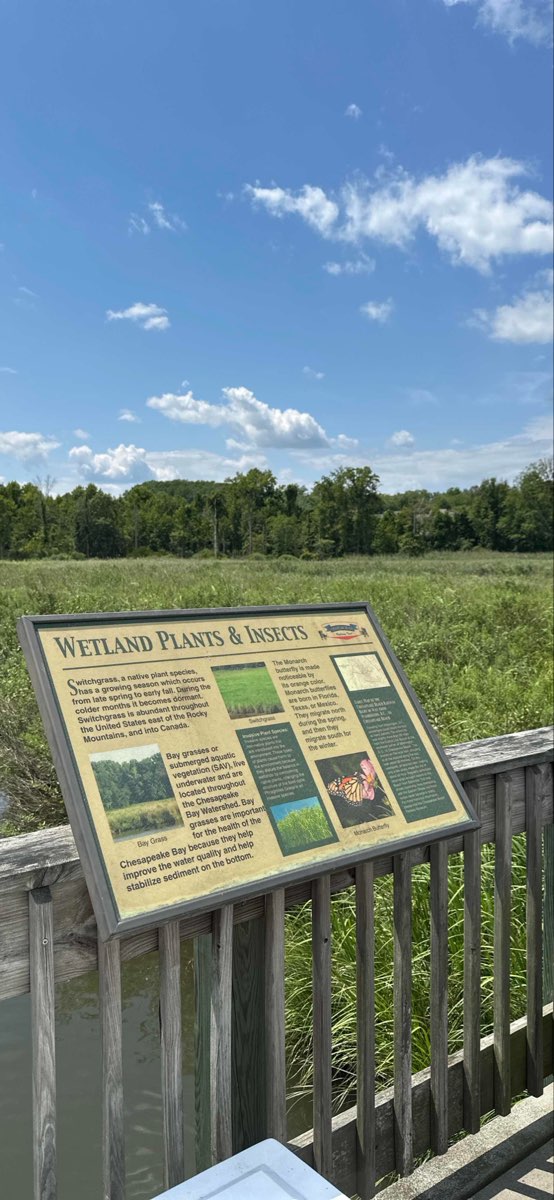 Chesapeake Beach Scavenger Hunt scavenger hunt photos