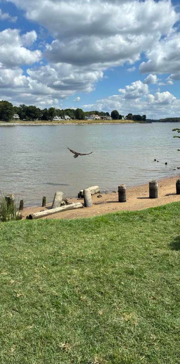 Zdjęcia z gry terenowej w Chesapeake City