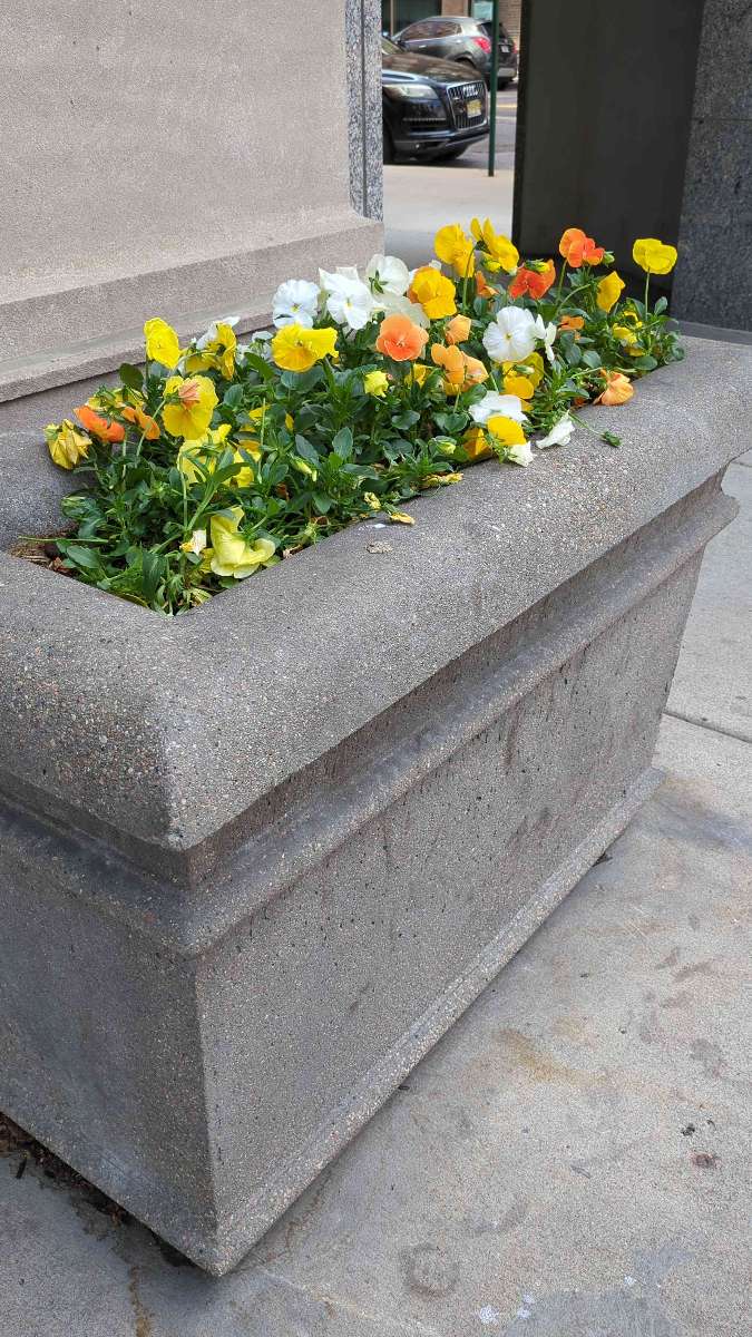 Fotos de la búsqueda del tesoro de Indianápolis Downtown