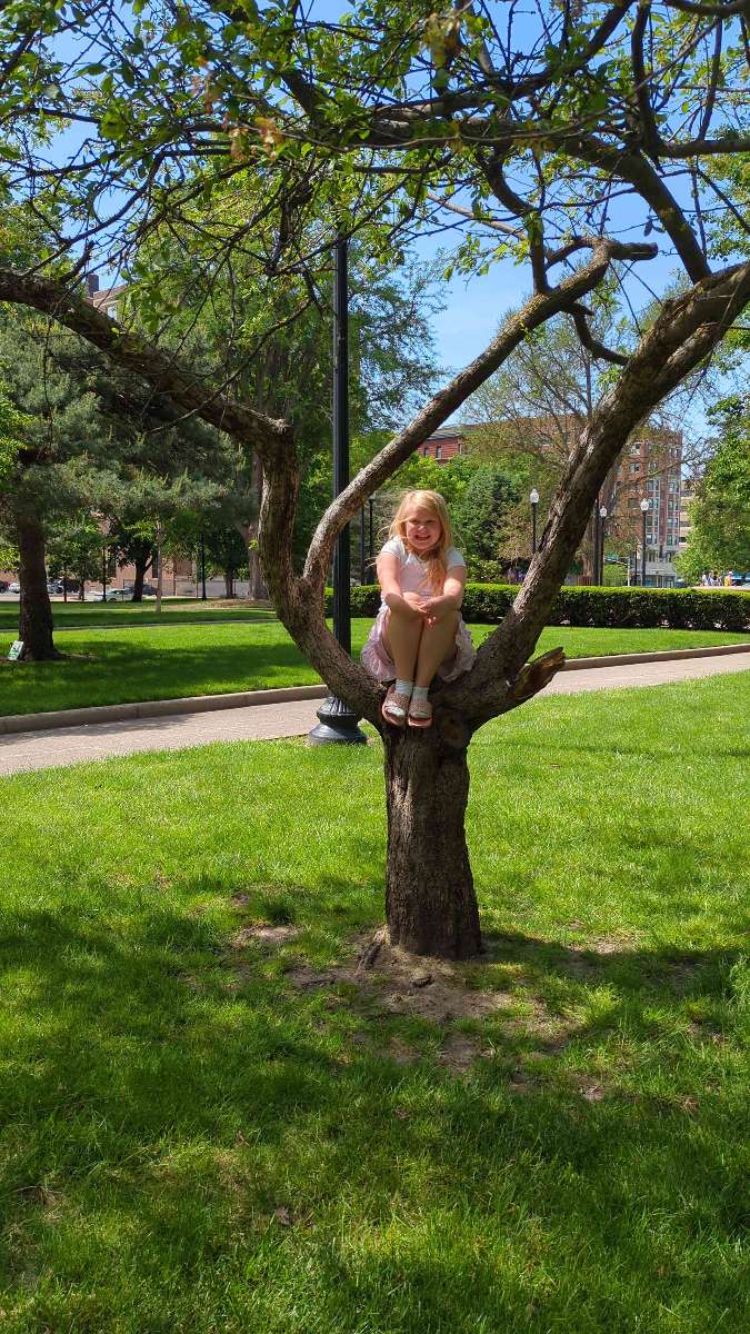 Indianapolis Art Walk scavenger hunt photos