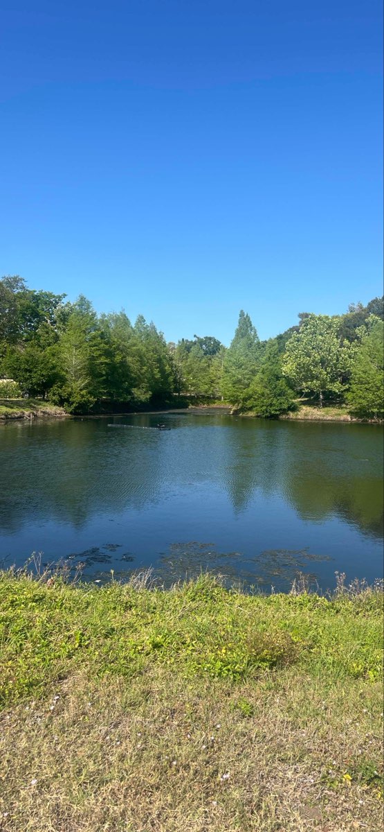 &Phi;&omega;&tau;&omicron;&gamma;&rho;&alpha;&phi;ί&epsi;&sigmav; &kappa;&upsi;&nu;ή&gamma;&iota; &theta;&eta;&sigma;&alpha;&upsi;&rho;&omicron;ύ Largo Scavenger Hunt