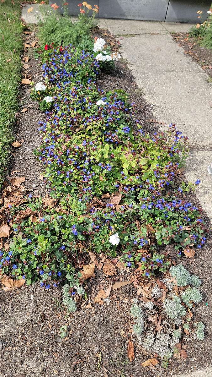 Fotos da caça ao tesouro do Tour Fantasma de Ocean Grove