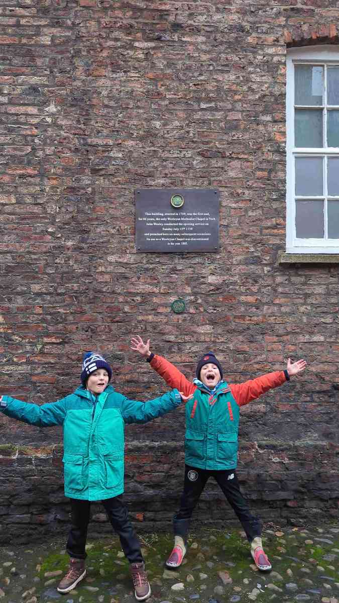 요크 대학교 스캐빈저 헌트 스캐빈저 헌트 사진