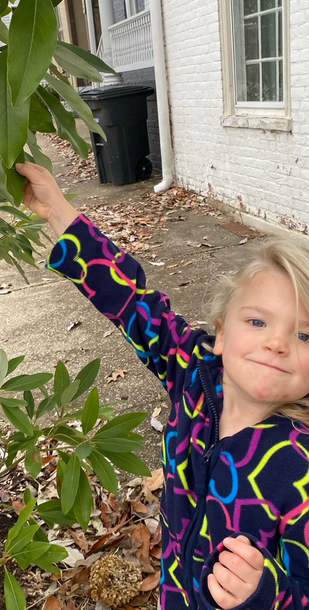 team building scavenger hunt