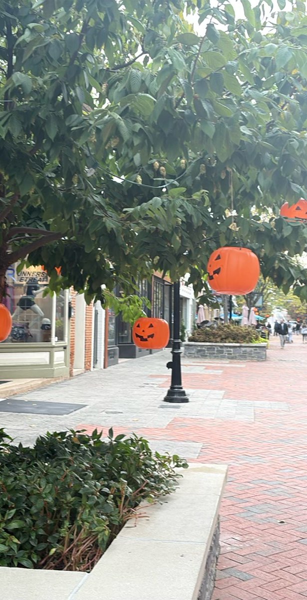 Jim Barnett Park Scavenger Hunt scavenger hunt photos