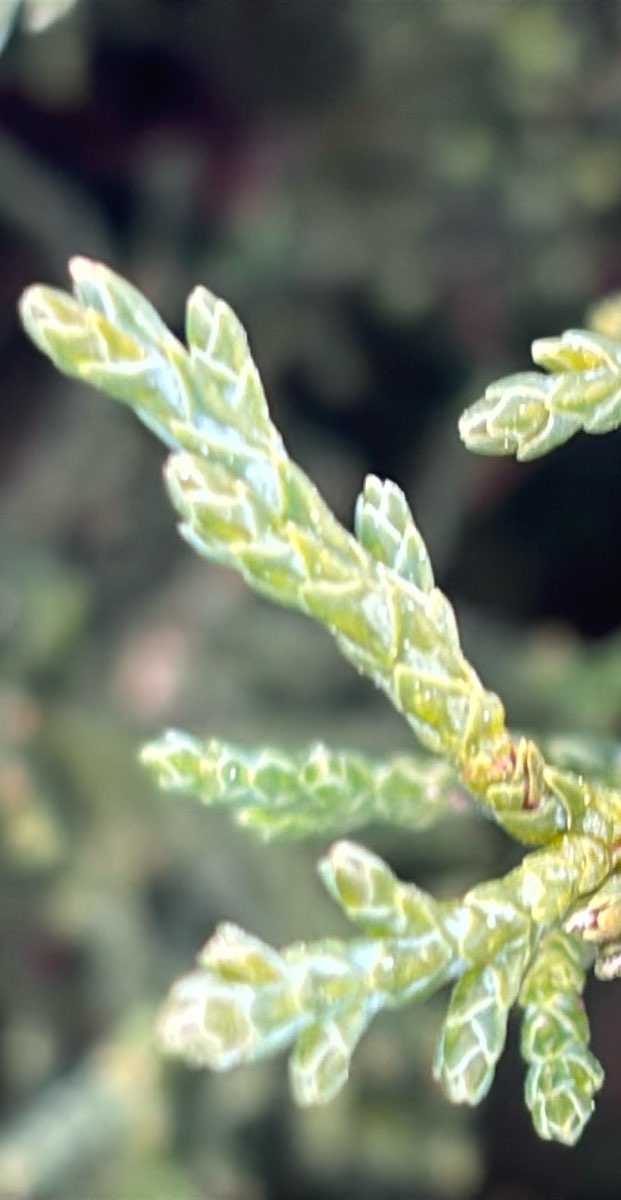 ウィスコンシン・デルズ・スカベンジャーハントのスカベンジャーハント写真