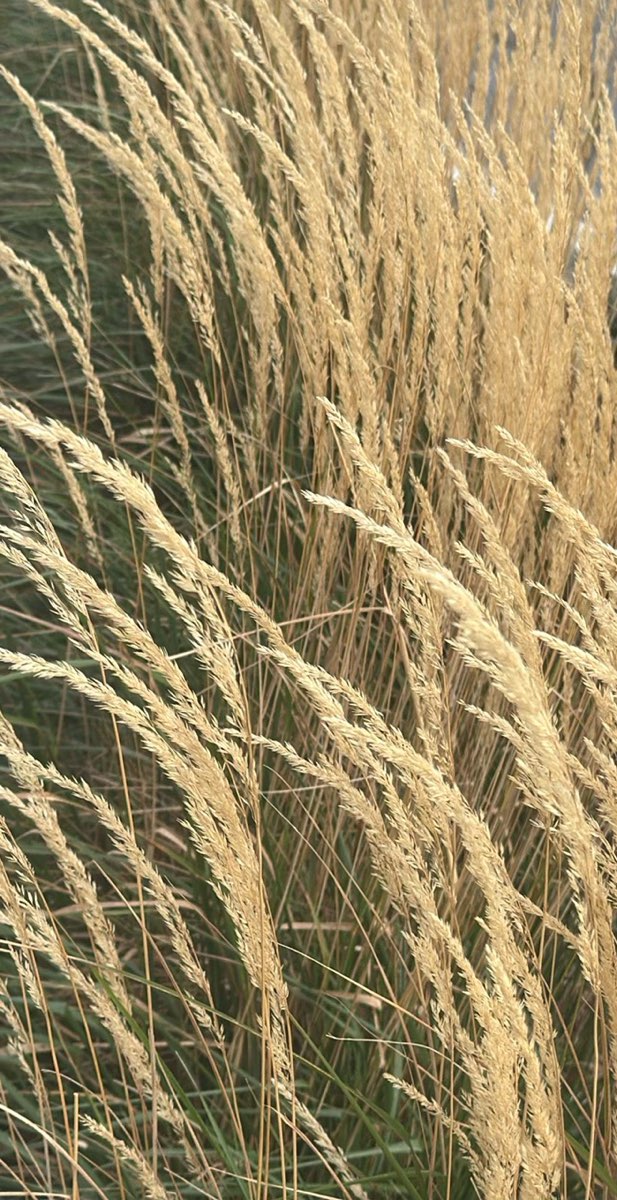 London Ontario Scavenger Hunt scavenger hunt photos