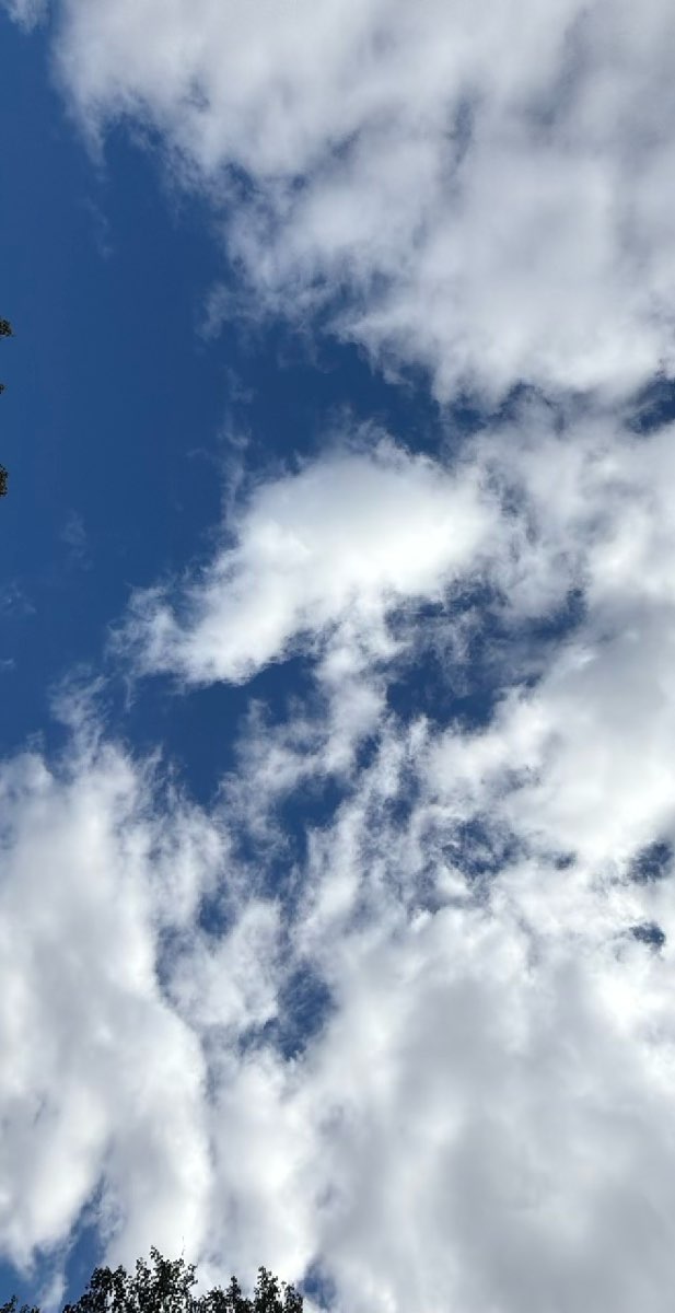 London Ontario Scavenger Hunt scavenger hunt photos