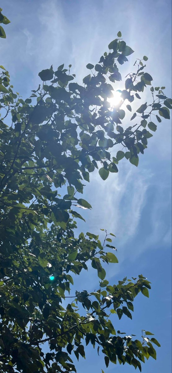 Two Harbors Scavenger Hunt scavenger hunt photos