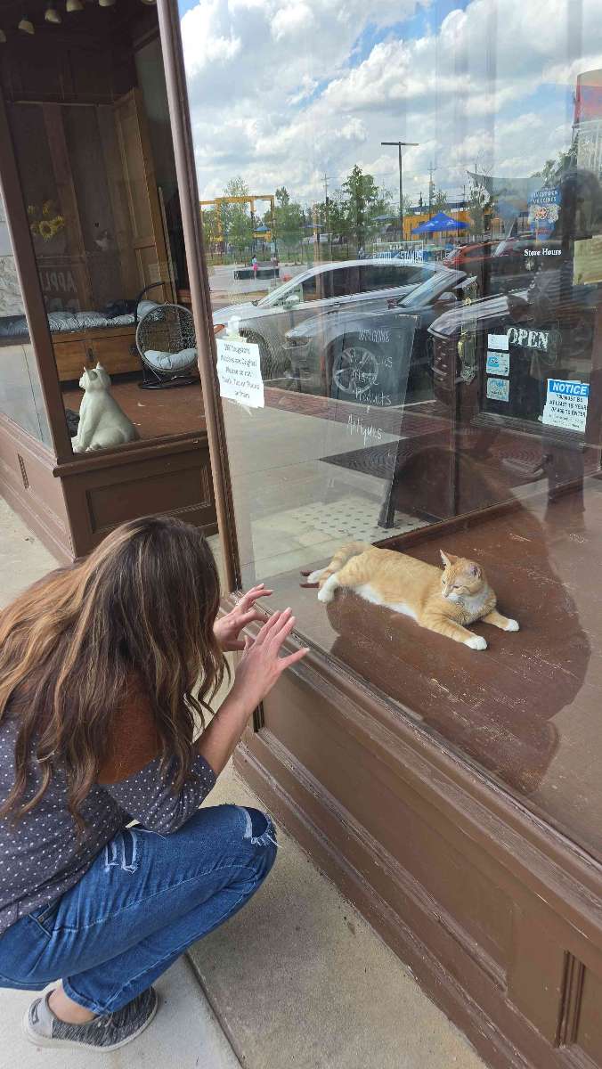 Rogers Scavenger Hunt scavenger hunt photos