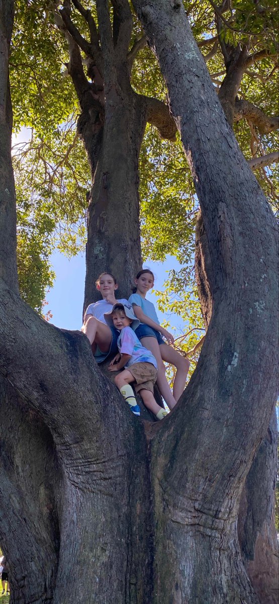 居家市中心寻宝游戏寻宝游戏照片