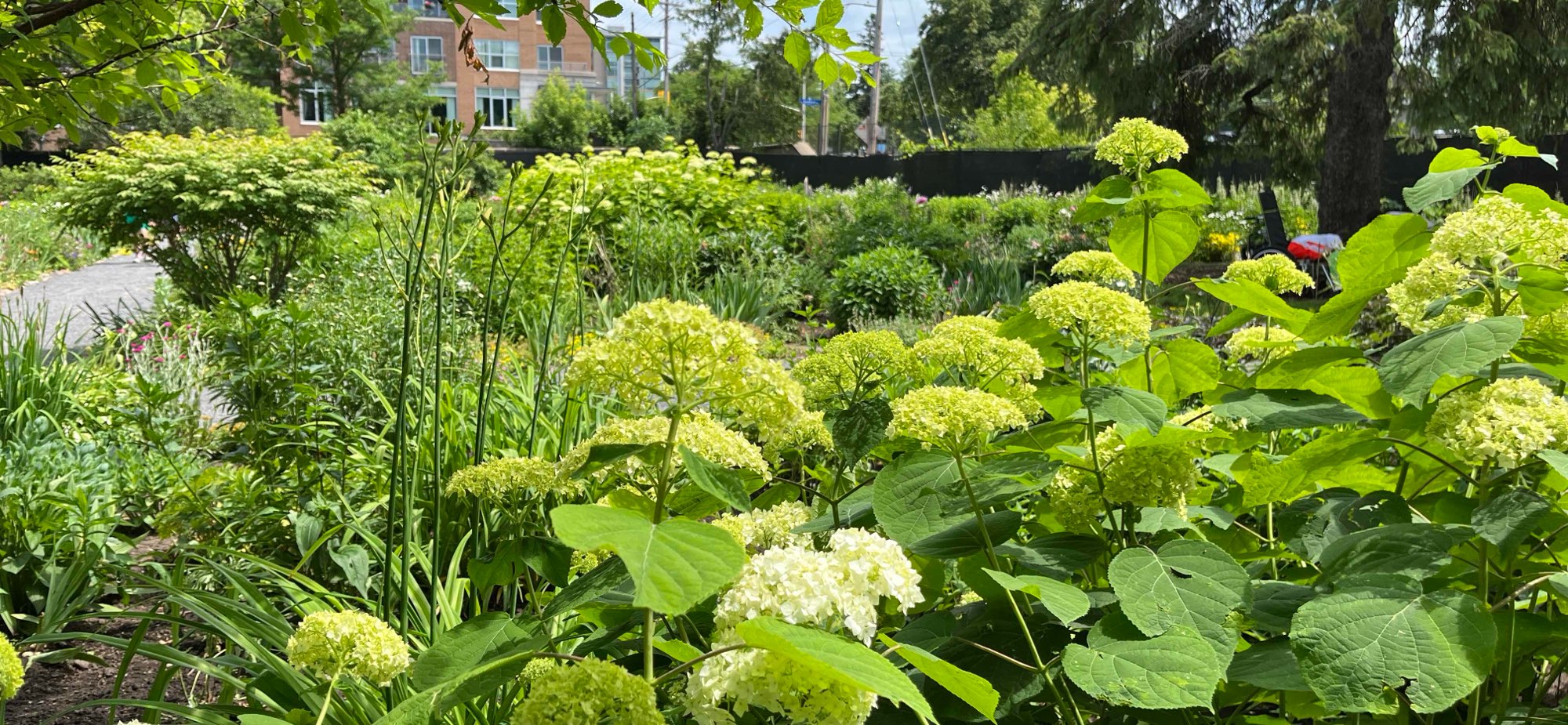 &Phi;&omega;&tau;&omicron;&gamma;&rho;&alpha;&phi;ί&epsi;&sigmav; &kappa;&upsi;&nu;&eta;&gamma;&iota;&omicron;ύ &theta;&eta;&sigma;&alpha;&upsi;&rho;&omicron;ύ &sigma;&tau;&omicron; Nepean