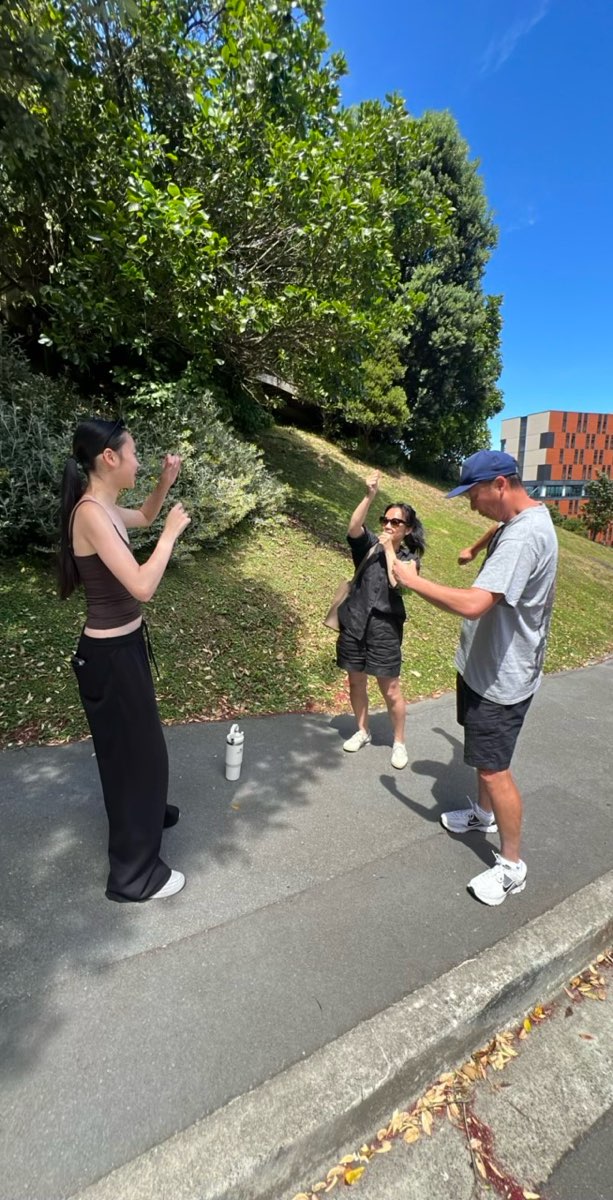 Bilder fra Wellington New Zealand Downtown Scavenger Hunt