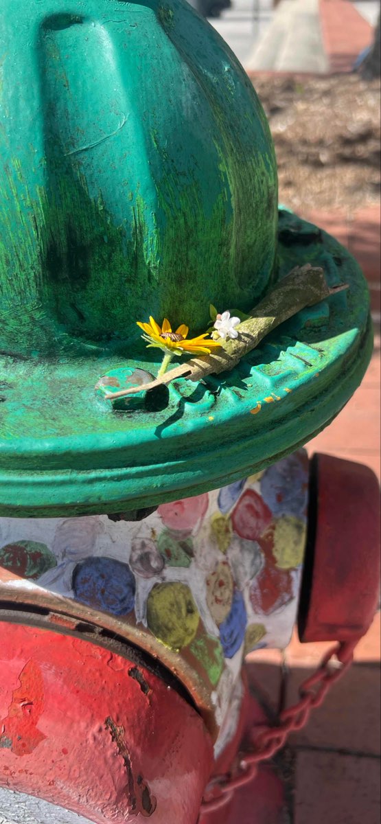 Calhoun Scavenger Hunt scavenger hunt photos