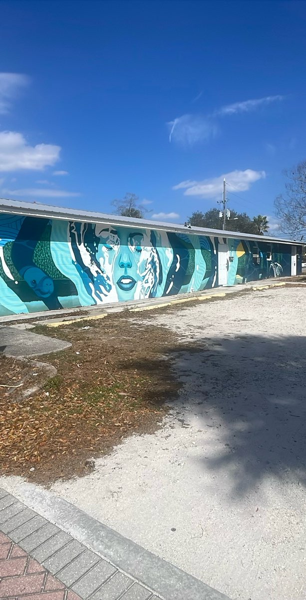 Photos de chasse au tr&eacute;sor &agrave; Zephyrhills