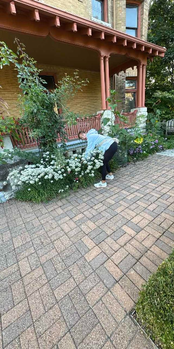 Photos de la Chasse au Trésor du Centre-ville de Madison, Wisconsin