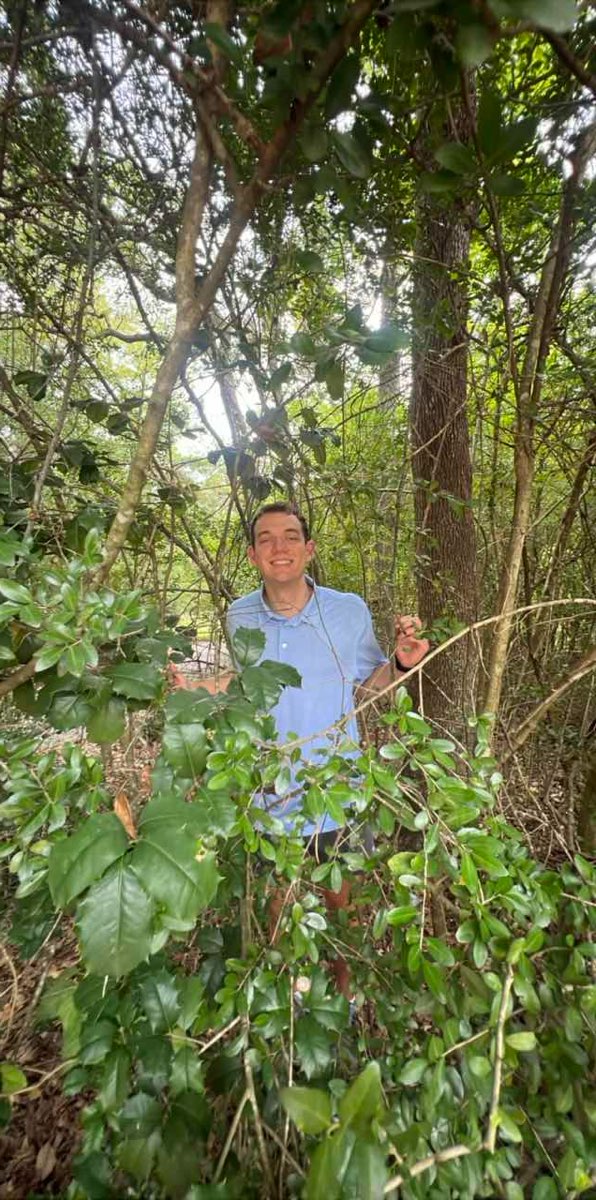 Fotos von der The Woodlands Downtown Schnitzeljagd