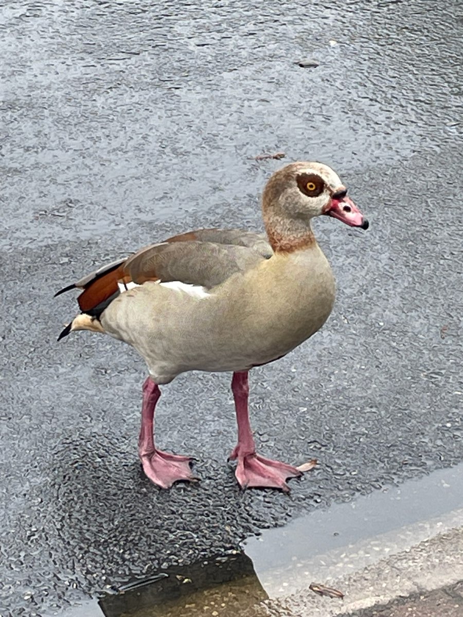 San Antonio Texas Art Walk scavenger hunt photos