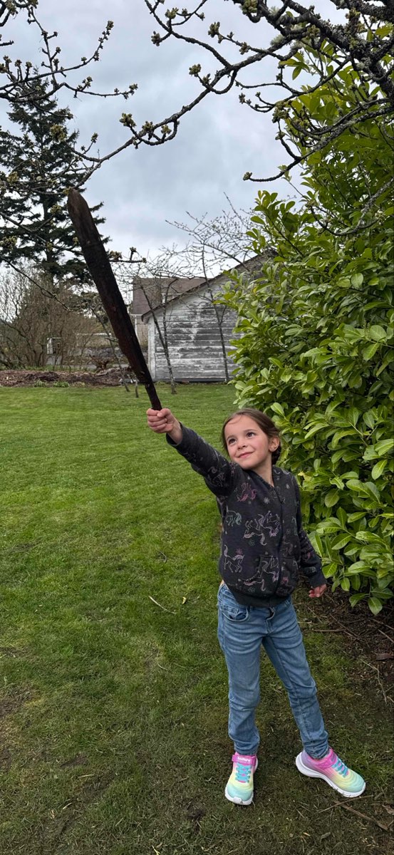 Friday Harbor Scavenger Hunt スカベンジャーハントの写真