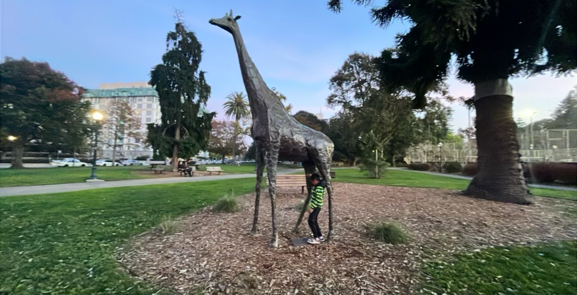 샌 마테오 스캐빈저 헌트 스캐빈저 헌트 사진