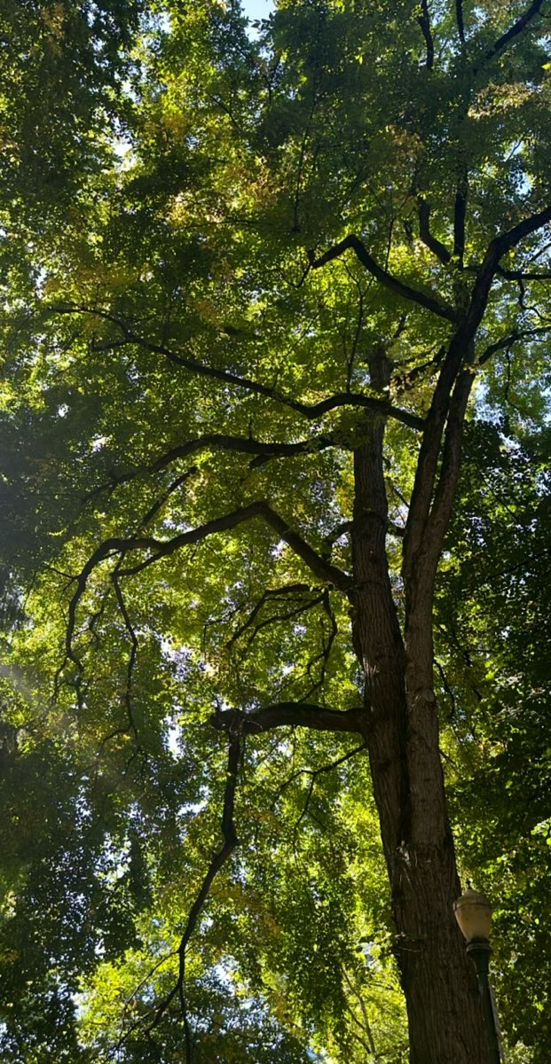 University of Portland Scavenger Hunt scavenger hunt photos