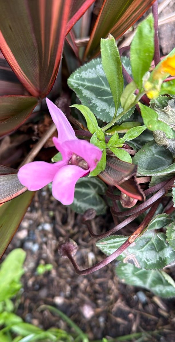 埃尔维顿寻宝游戏照片