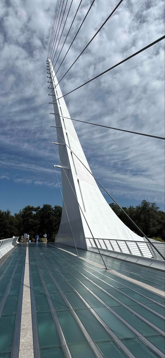 レディング・スカベンジャーハントのスカベンジャーハント写真