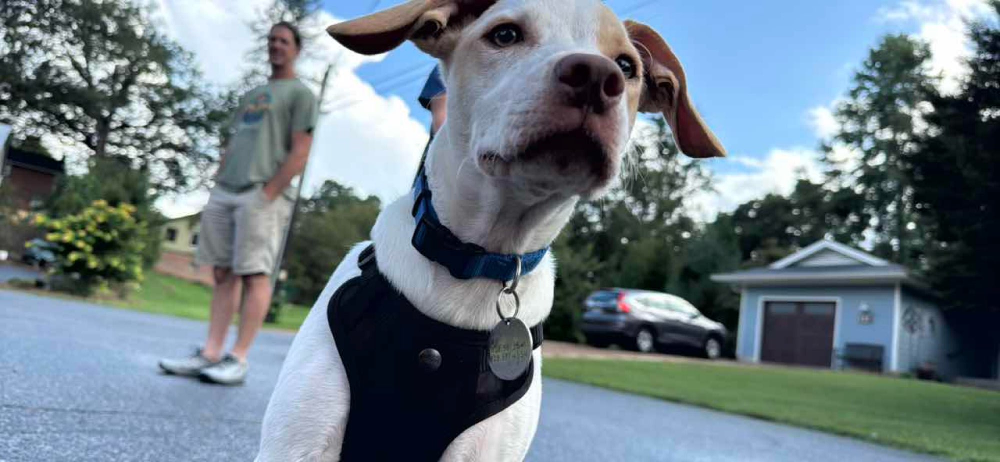 Brevard Scavenger Hunt scavenger hunt photos