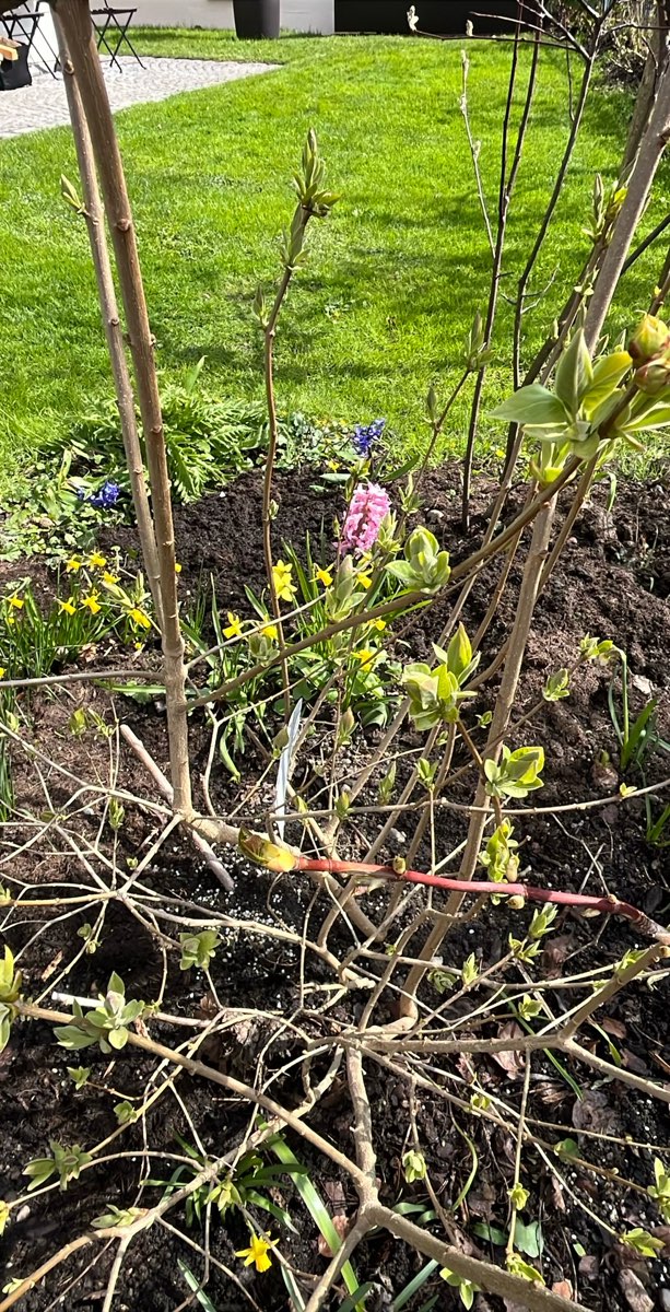 Bregenz Scavenger Hunt scavenger hunt photos