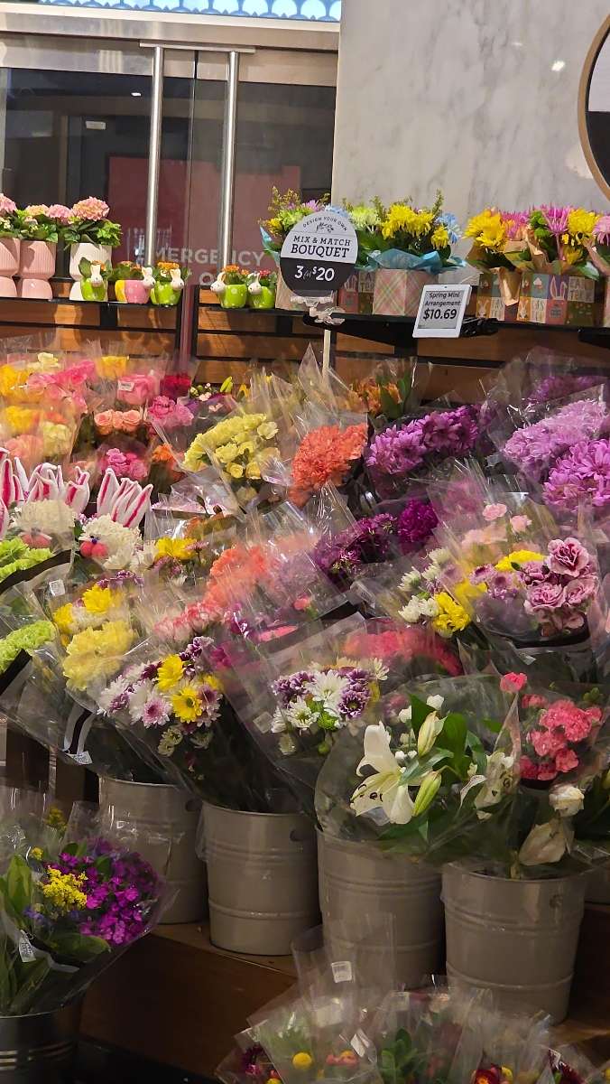 Fotos de la búsqueda del tesoro de Case Western Reserve University