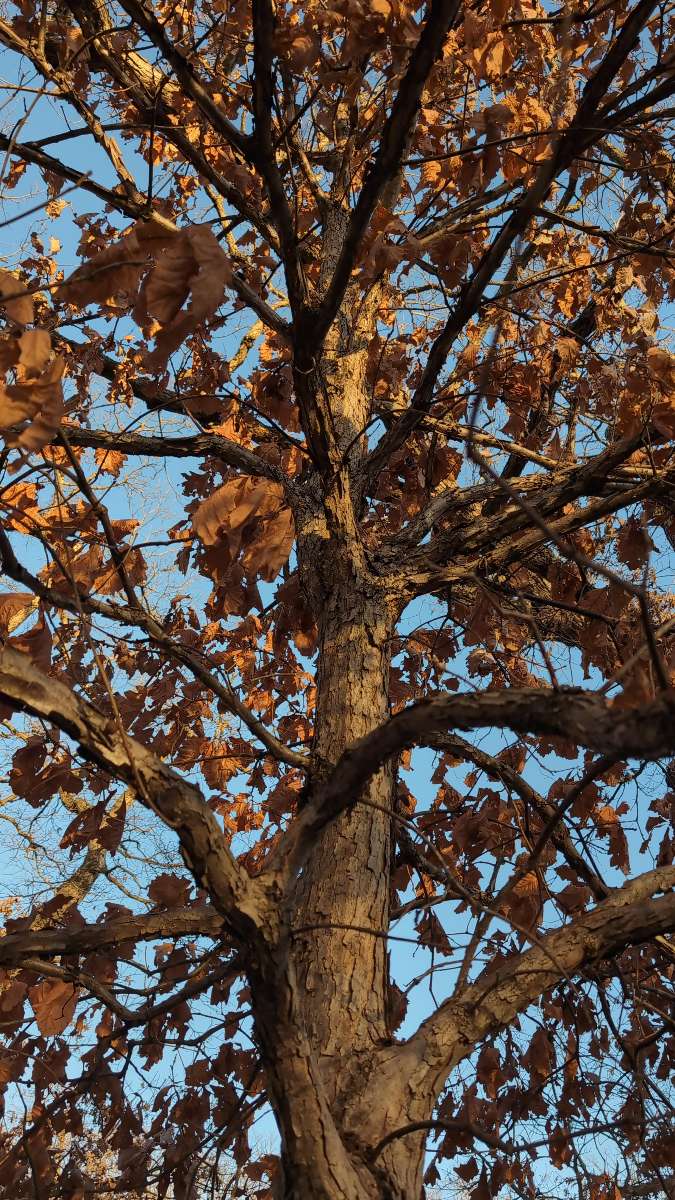 รูปภาพ Scavenger Hunt Des Moines Ghost Tour