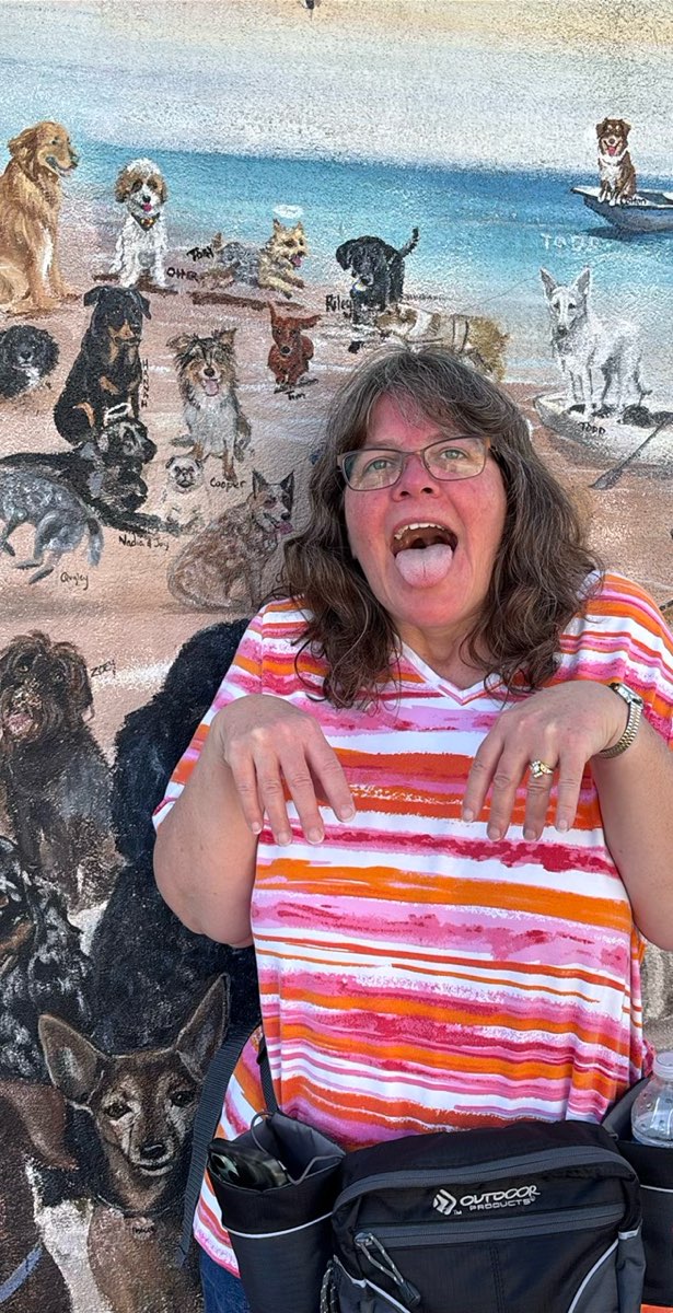 佛罗里达州邓尼丁市中心寻宝游戏寻宝游戏照片