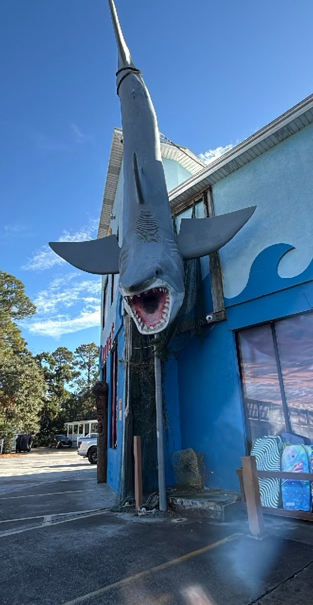 Tybee Island Scavenger Hunt scavenger hunt photos