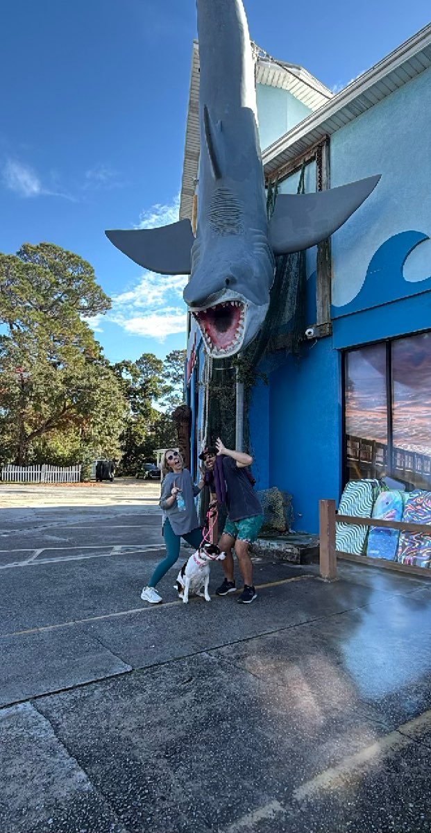 Tybee Island Scavenger Hunt scavenger hunt photos